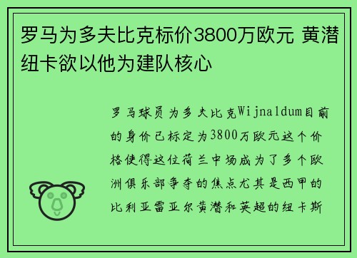 罗马为多夫比克标价3800万欧元 黄潜纽卡欲以他为建队核心